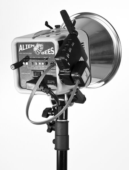 File:AC9AlienBees.jpg